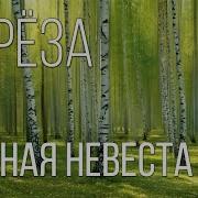 Я К Березе Невесте