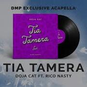 Doja Cat Tia Tamera Acapella