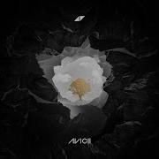 Avicii Sandro Cavazza Without You Record Mix