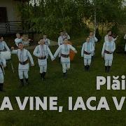 Plăieșii Iaca Vine Iaca Vine