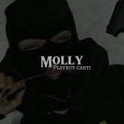 Molly Slowed Reverb Tiktok