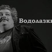 Водолазкин