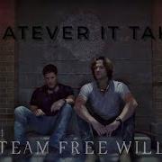 Team Free Will Whatever It Takes