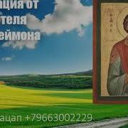 266 Медитация Пантелиона