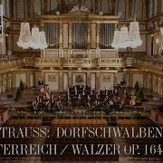 Vienna Opera Orchestra Dorfschwalben Aus Österreich Op 164 Ii Waltz