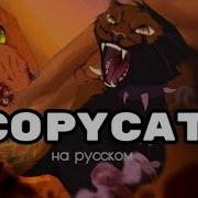 Коты Воители Клип Copycat