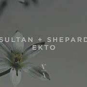 Ekto Sultan Shepard