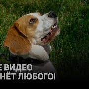 Мужчинам Хорошего Настроения