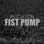 Fist Pump Club Mix Dj Aligator