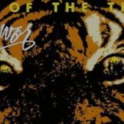 Eye Of The Tiger Instrumental