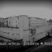 Памяти Всех Воров В Белый Лебедь