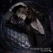 Sugizo Folly