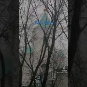 Ты В Жизнь Мою Вошла Ты В Сердце Поселилась
