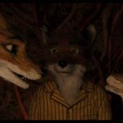 Mr Foxx