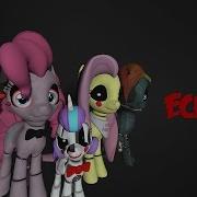 Echo Mlp