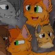Коты Воители Ты Думал Что Я Слабая
