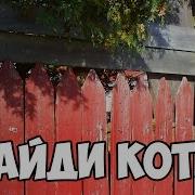 Нацди Кота Будь В Курсе