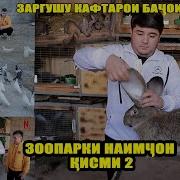 Барномаи Медони Ё Не Зоопарки Наимчон