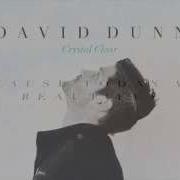 David Dunn Today Is Beautiful