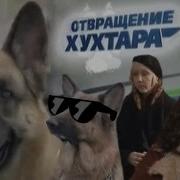 Извращение Мухтара 9 Сезон