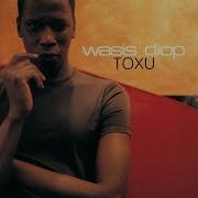 Wasis Diop Feat Beth Hirsch Everything Is Never Quite Enough
