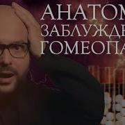 Анатомия Заблуждений 7