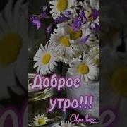 Утер Фразы