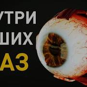 Глаза Людей