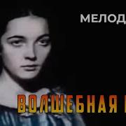 Волшебная Ночь