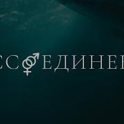 Воссоединение