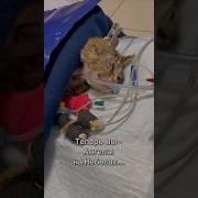 Ангелы На Небесах