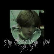 Wow Skz Speed Up