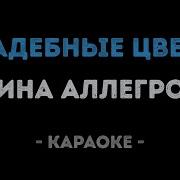 Свадебные Цветы Караоке