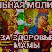 Молитва Маме О Зборовье От Зайки