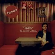 Jamie Cullum Work Of Art