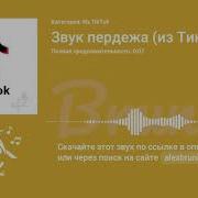 Звук Пердежа Из Тик Тока