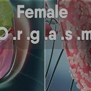 Orgasm Girls