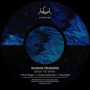 Moonlight Original Mix Romain Pellegrin