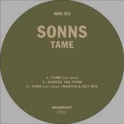 Sonns Tame Feat Beesh Marvin Guy Mix