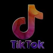 Barbie Girl Tiktok Remix