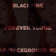 Blackpink Forever Young Hidden Vocals