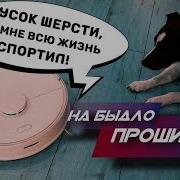 Фразы Роботов