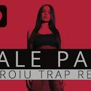 Larissa Dale Papi Asproiu Trap Remix