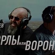 Wocxod Вороны