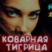 Коварная Тигрица