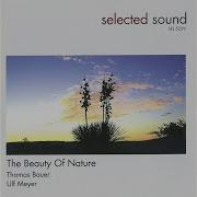 The Beauty Of Nature Ulf Meyer Thomas Bauer