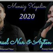 Mursel Nur 2020