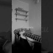Жмурки Кавер