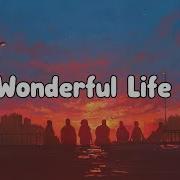 Wonderful Life Smith Burrows