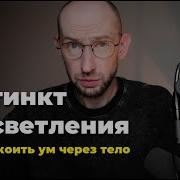 Инстинкт Просветления Гендерные Роли Или Как Успокоить Ум